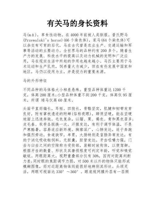 有关马的身长资料