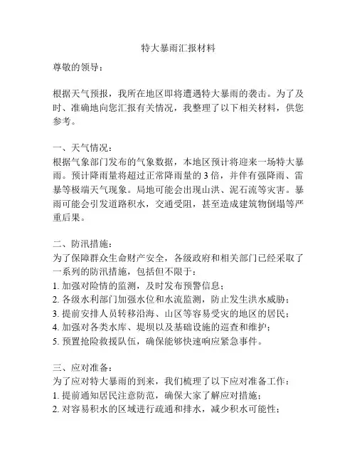 特大暴雨汇报材料