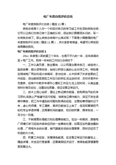 电厂年度自我评价总结（精选11篇）