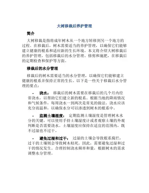 大树移栽后养护管理