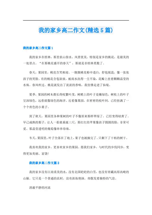 我的家乡高二作文(精选5篇)