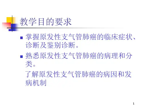 支气管肺癌新PPT课件