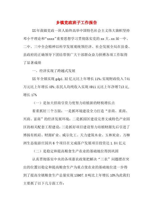 2019年乡镇党政班子工作报告