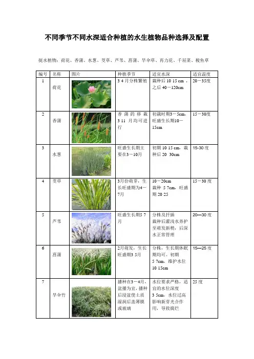 不同季节不同水深适合种植的水生植物选择