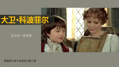 《大卫科波菲尔》ppt课件