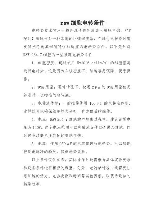 raw细胞电转条件