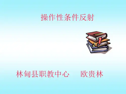 操作性条件反射