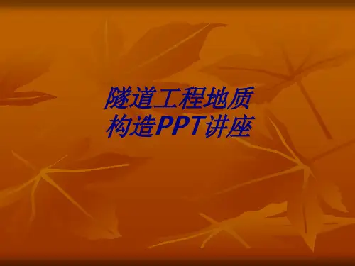 隧道工程地质构造专题培训课件