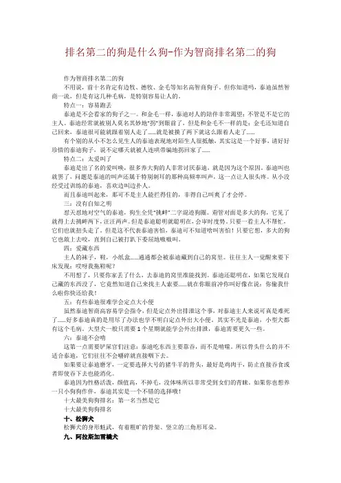 排名第二的狗是什么狗-作为智商排名第二的狗
