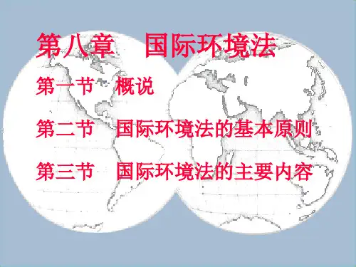 国际环境法概述(PPT 41页)