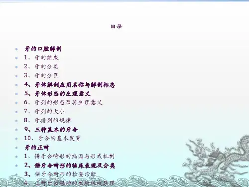 口腔解剖生理学ppt课件