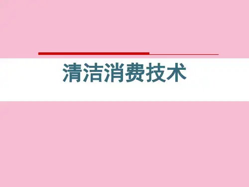 《清洁生产》ppt课件
