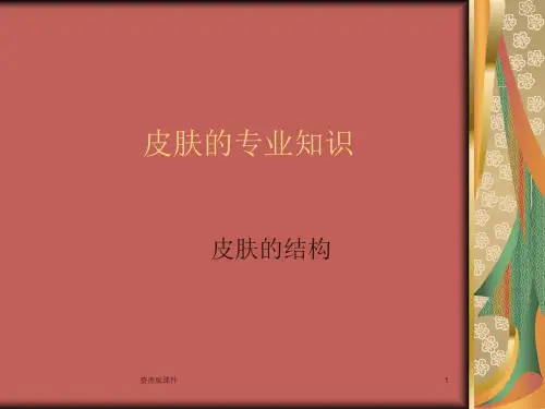 美容行业-皮肤的专业知识(1 33页)ppt课件
