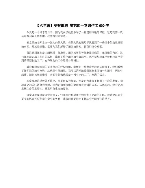 【六年级】观察细胞 难忘的一堂课作文600字