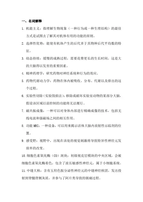 生理心理学期末复习