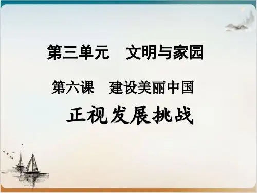 《正视发展挑战》部编道德与法治-优秀课件PPT