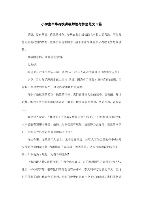 小学生中华魂演讲稿辉煌与梦想范文3篇