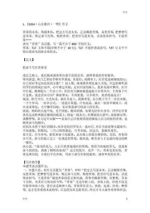 2024年中考满分作文《少年励志类》范文