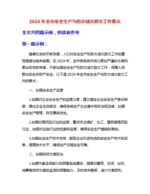 2024年全市安全生产与防灾减灾救灾工作要点