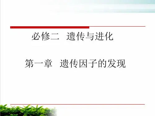 人教生物必修孟德尔的豌豆杂交实验一PPT完整版