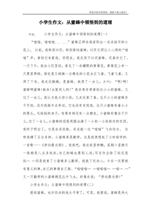 小学生作文：从蜜蜂中领悟到的道理