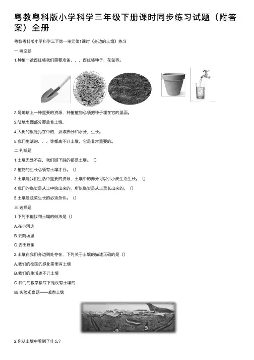 粤教粤科版小学科学三年级下册课时同步练习试题（附答案）全册