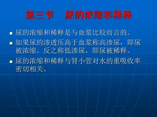 人体生理学 09排泄(2)