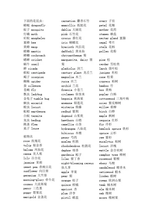 昆虫动物植物名字翻译