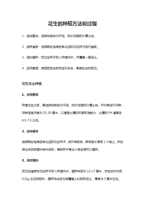 花生的种植方法和过程