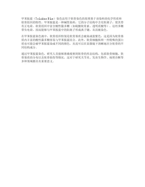 甲苯胺蓝染色原理软骨