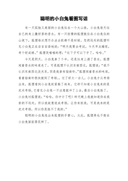 聪明的小白兔看图写话_作文