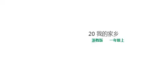 专题教育《人 自然 社会》浙教版一年级下册第20课 我的家乡 课件