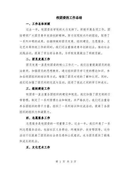 校团委的工作总结