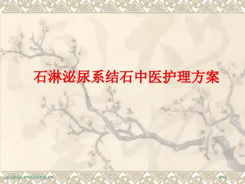 石淋泌尿系结石中医医疗护理方案