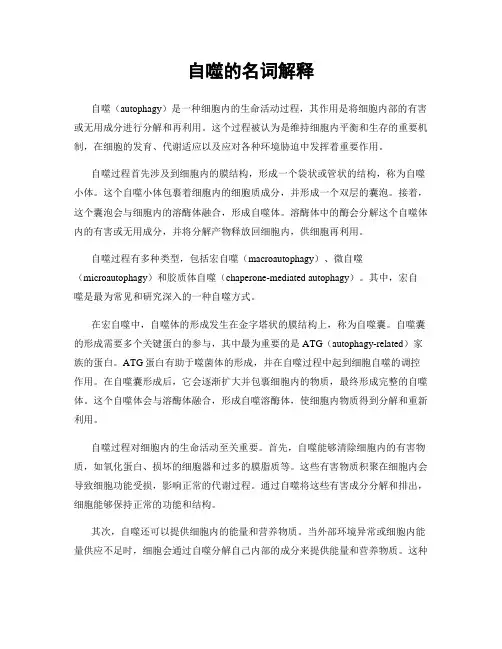 自噬的名词解释