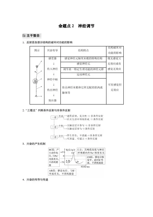 2024届高中生物二轮复习讲义 第一篇 主题三 专题(八) 命题点2 神经调节
