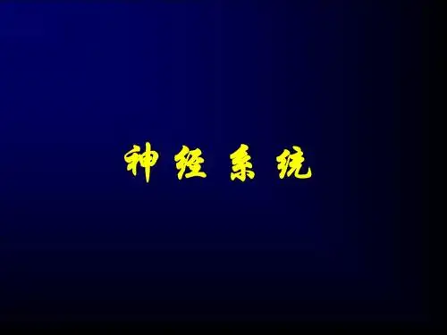 神经系统显像PPT精品医学课件ppt学习课件