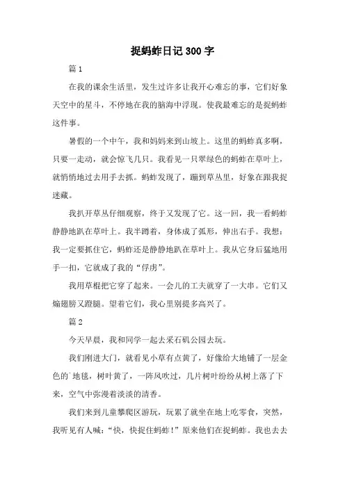 捉蚂蚱日记300字