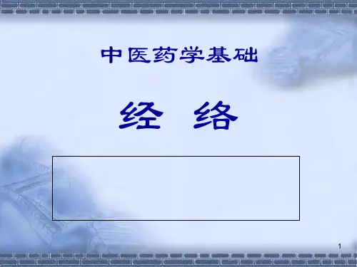中医基础理论10经络PPT优秀课件