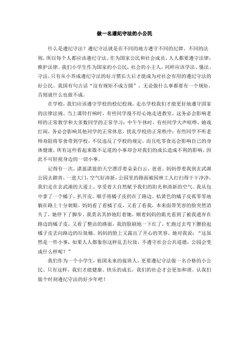 做一名遵纪守法的小公民