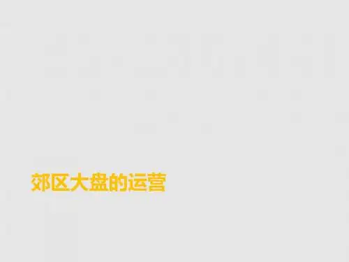 房地产项目郊区大盘的运营研究