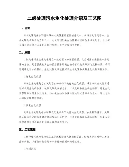 二级处理污水生化处理介绍及工艺图