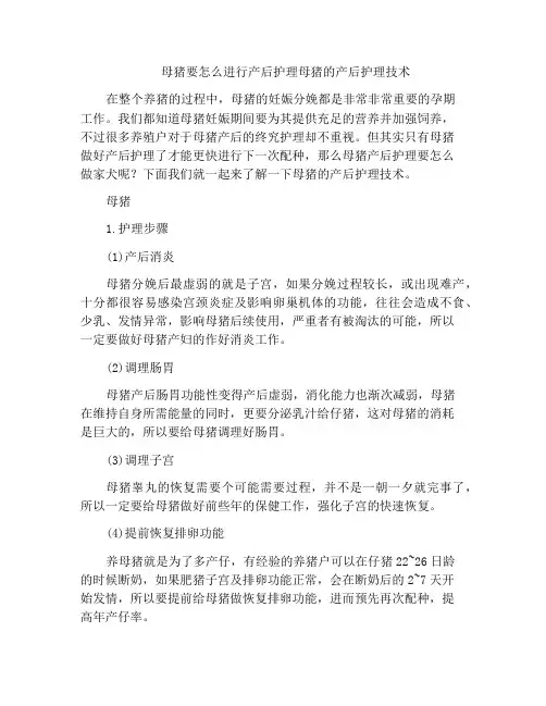 母猪要怎么进行产后护理母猪的产后护理技术