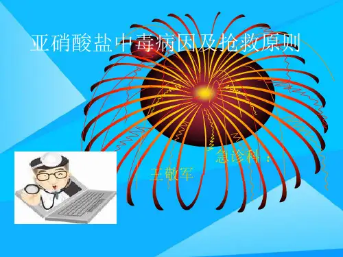 亚硝酸盐中毒病因及抢救原则优质PPT
