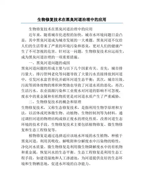 生物修复技术在黑臭河道治理中的应用