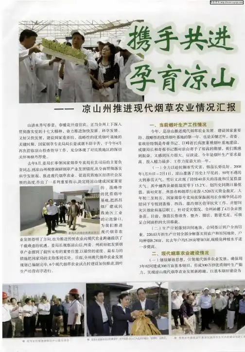 携手共进 孕育凉山——凉山州推进现代烟草农业情况汇报