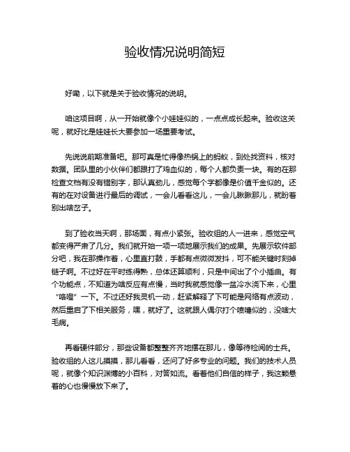 验收情况说明简短