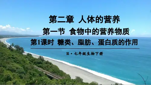 人教版七年级生物《食物中的营养物质》课件
