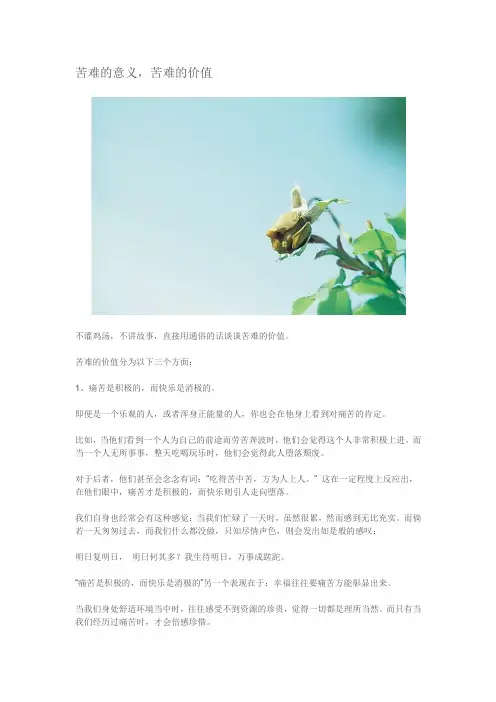 苦难的意义,苦难的价值