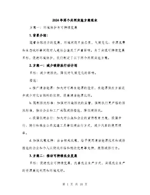 2024年两个共同实施方案范本(3篇)